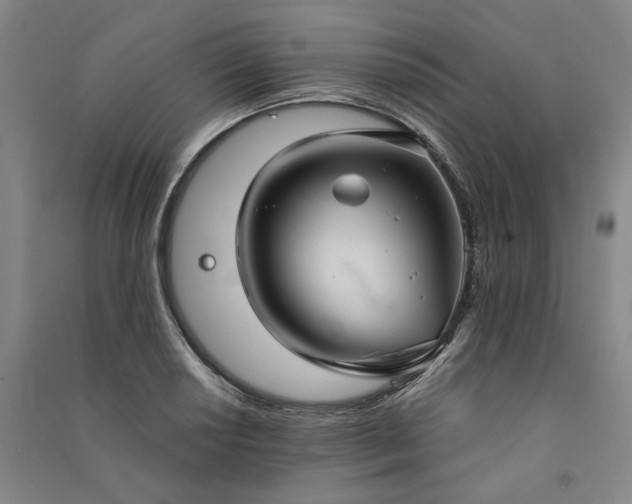 X0000091351034200708171427