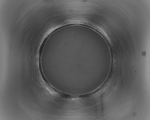 X0000091351035200708171427