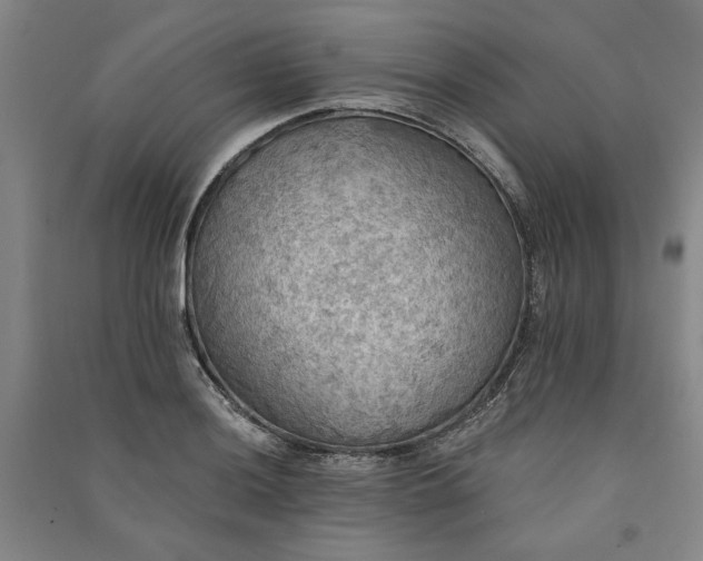 X0000091351036200708171427