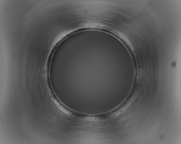 X0000091351037200708171427