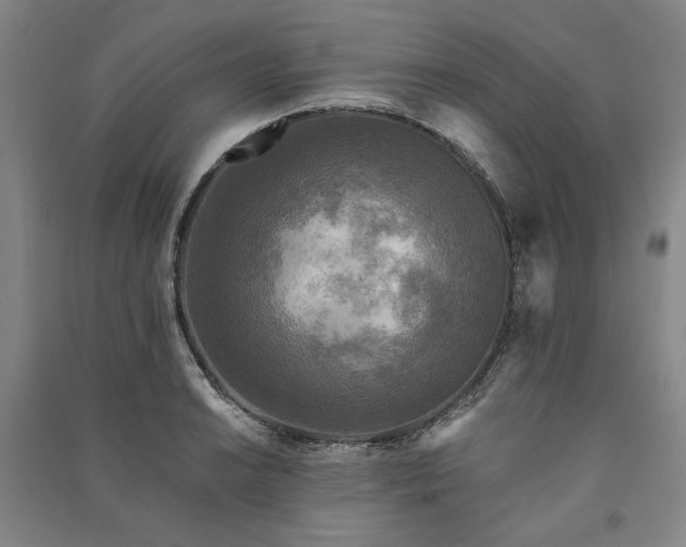 X0000091351038200708171427