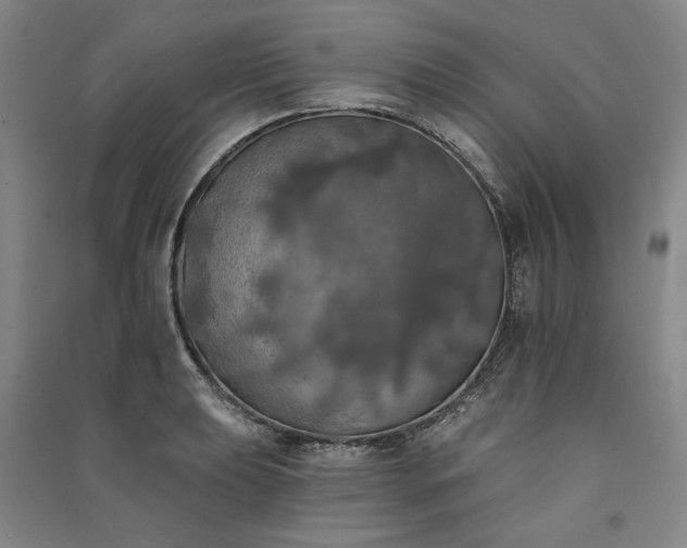 X0000091351039200708171427