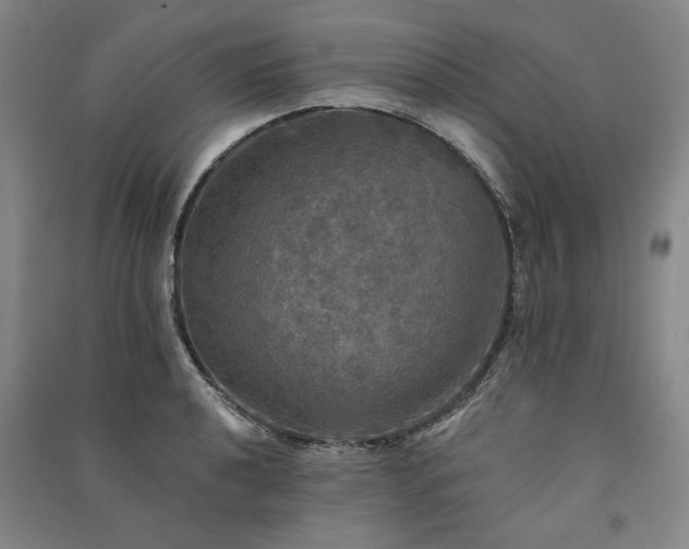 X0000091351040200708171427