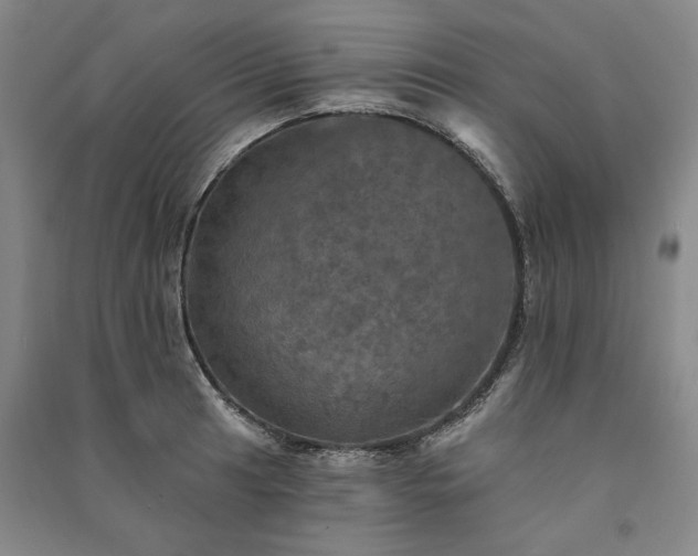 X0000091351041200708171427