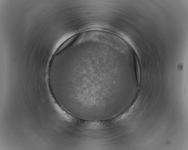 X0000091351042200708171427