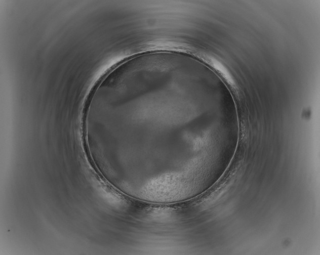X0000091351043200708171427