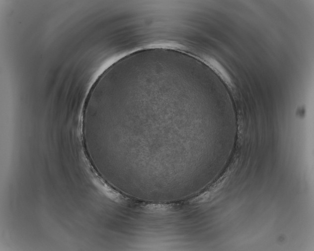 X0000091351044200708171427