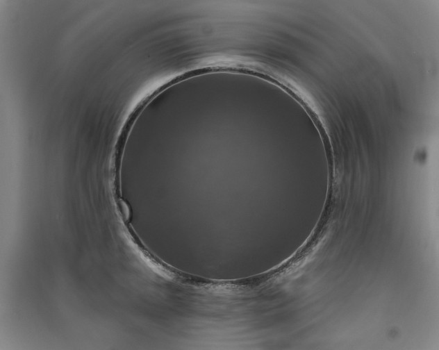 X0000091351045200708171427