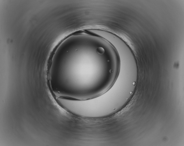 X0000091351046200708171427