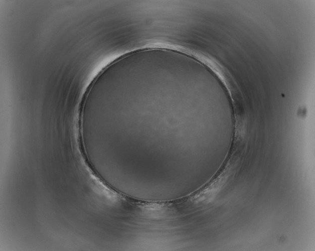 X0000091351048200708171427