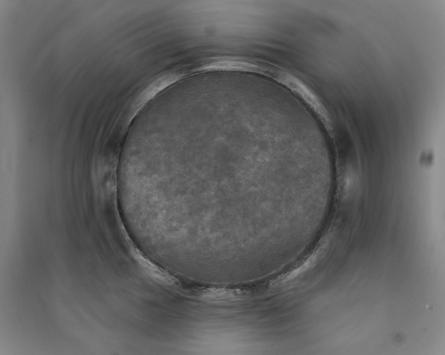 X0000091351049200708171427