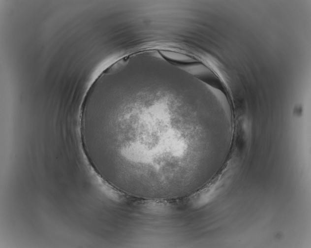 X0000091351050200708171427