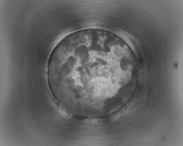 X0000091351051200708171427