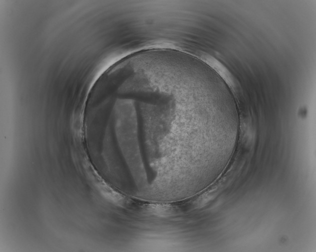 X0000091351052200708171427