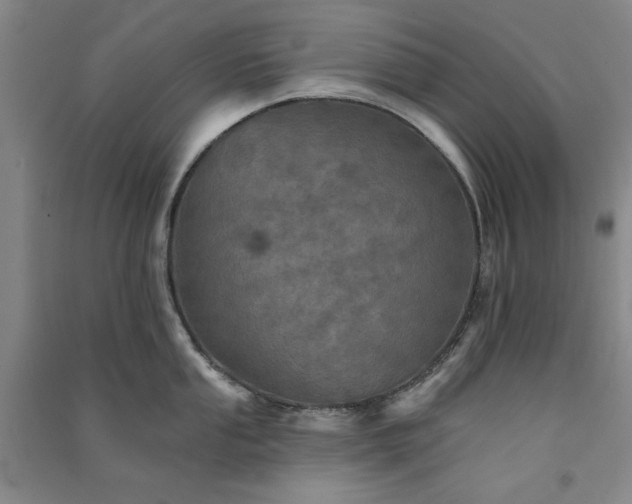 X0000091351053200708171427