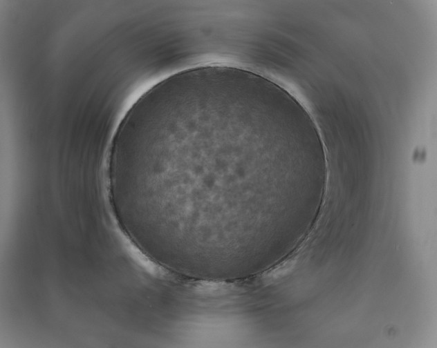 X0000091351056200708171427