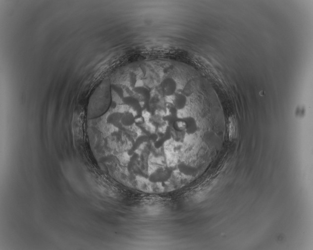 X0000091351059200708171426