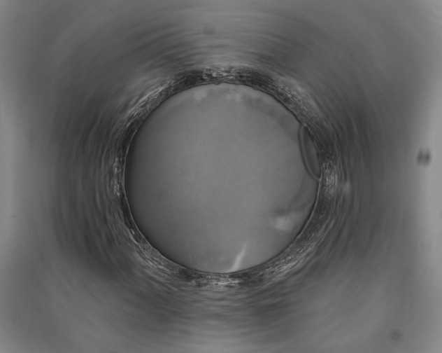 X0000091351060200708171426