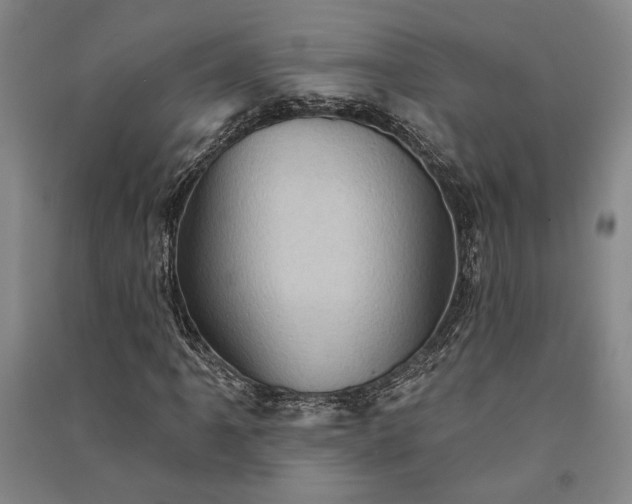 X0000091351061200708171426