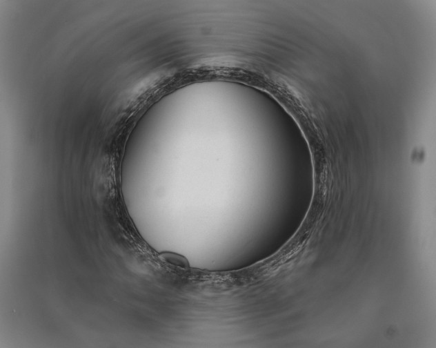 X0000091351062200708171426