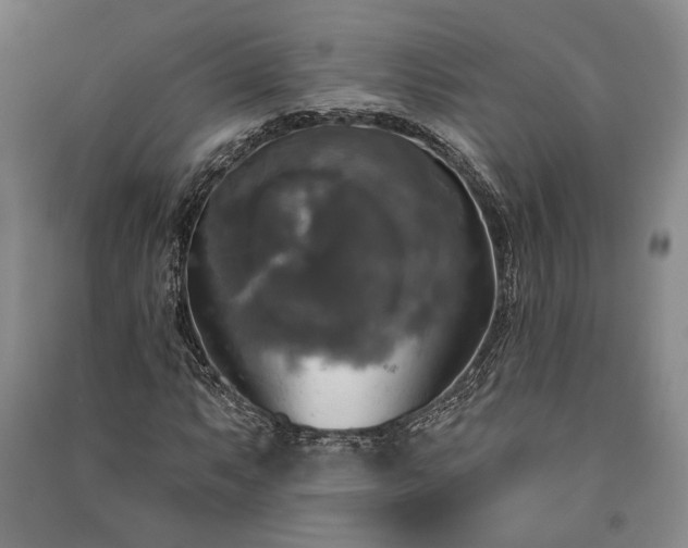 X0000091351063200708171426