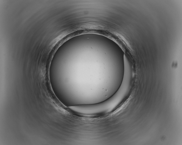 X0000091351065200708171426