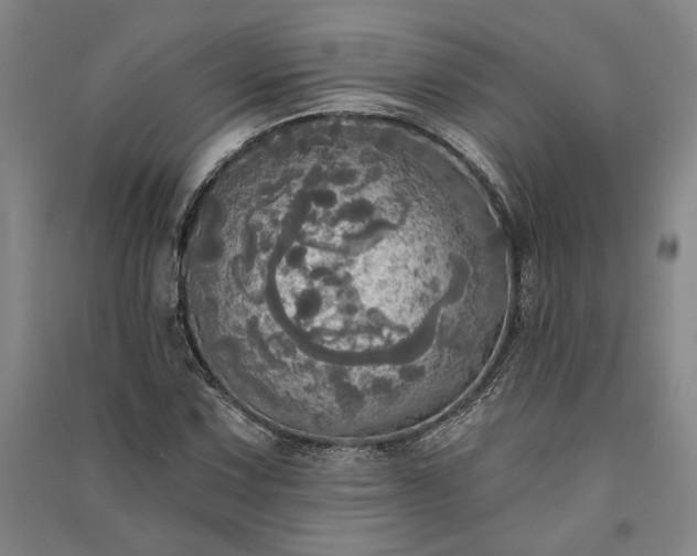 X0000091351067200708171426
