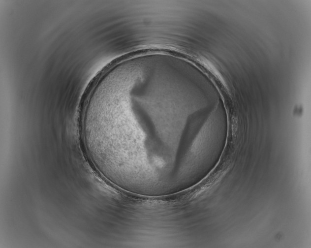 X0000091351068200708171426