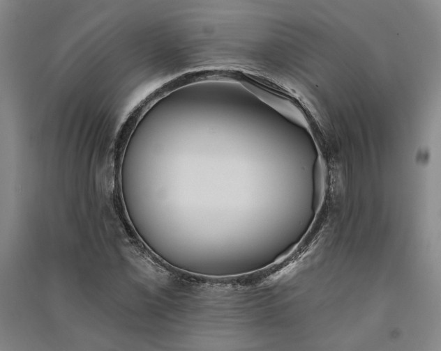 X0000091351069200708171426