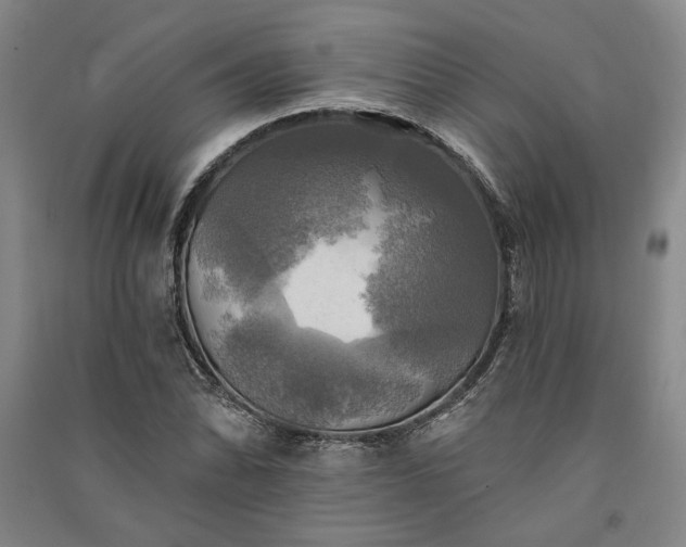 X0000091351070200708171426