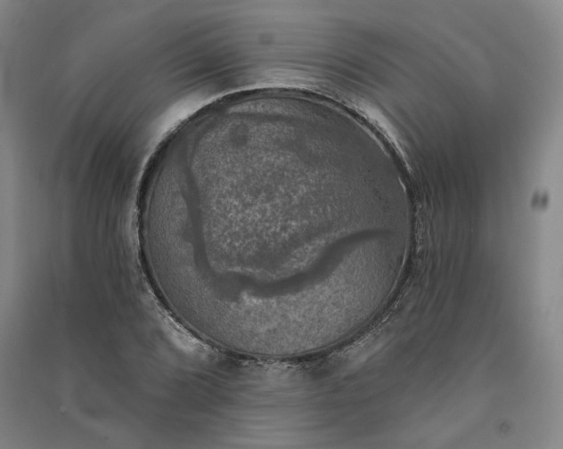 X0000091351072200708171426