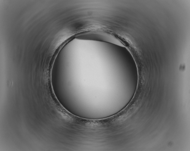 X0000091351073200708171426