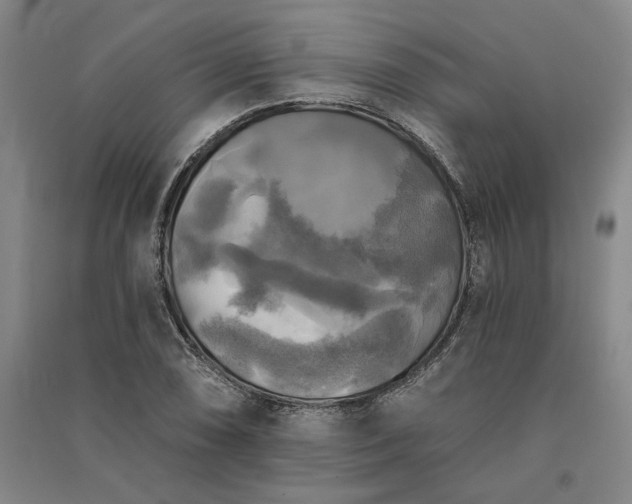 X0000091351074200708171426