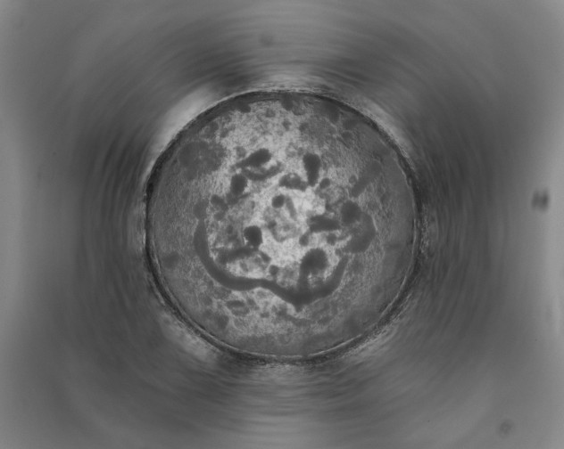 X0000091351075200708171426