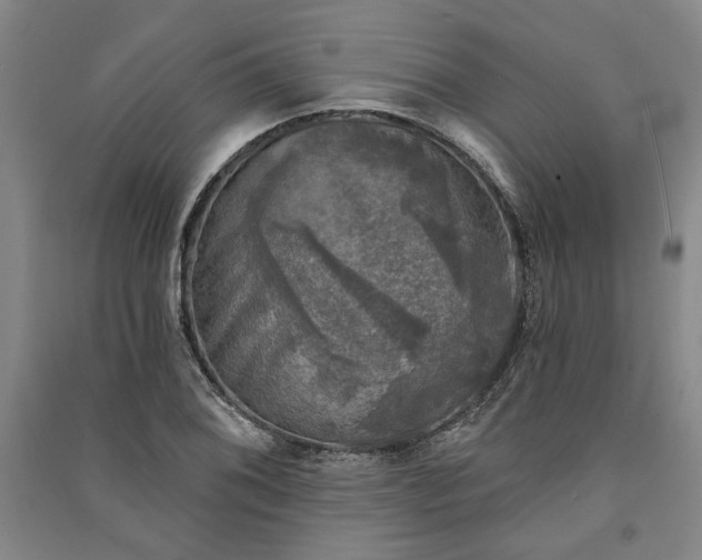 X0000091351076200708171426