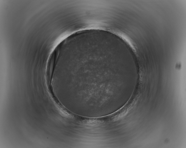 X0000091351077200708171426