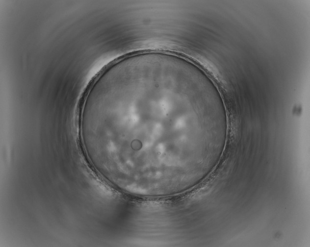 X0000091351078200708171426