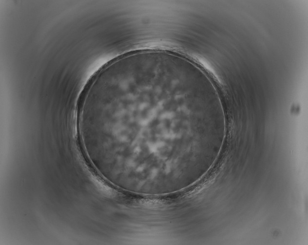 X0000091351079200708171426