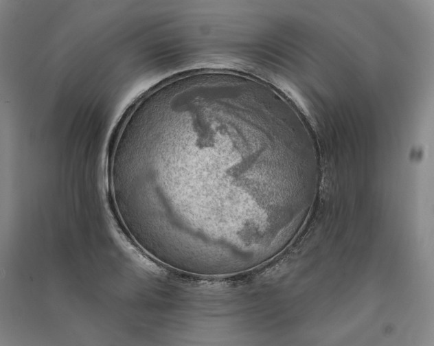 X0000091351080200708171426