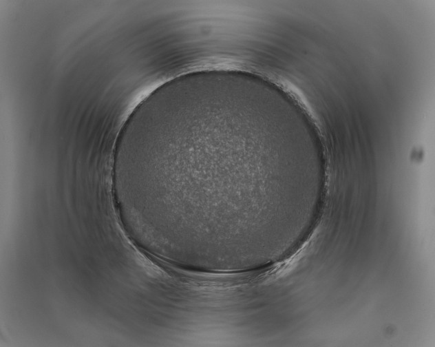 X0000091351081200708171426