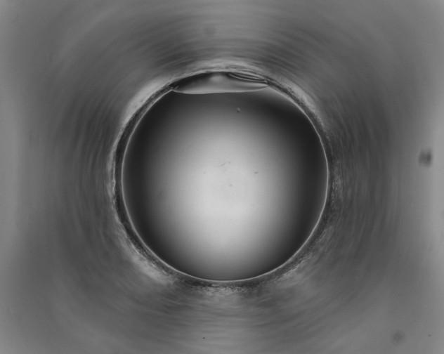 X0000091351082200708171426