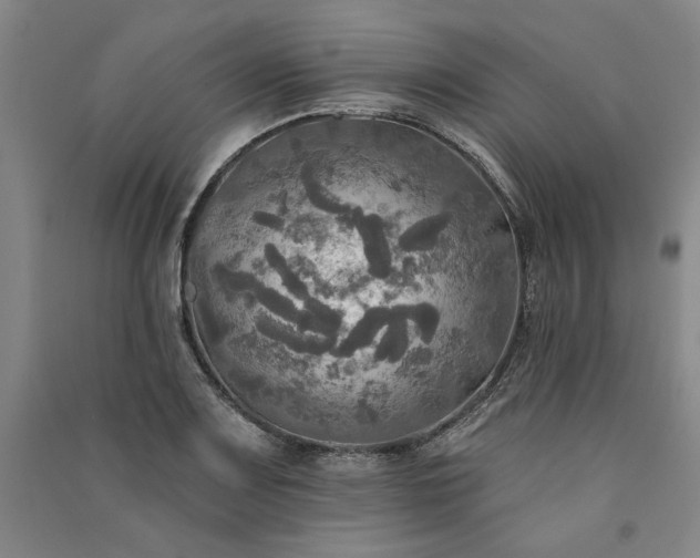X0000091351083200708171426