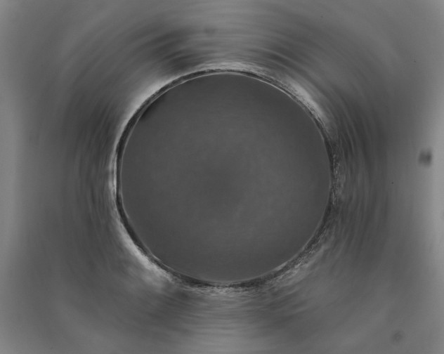X0000091351084200708171426