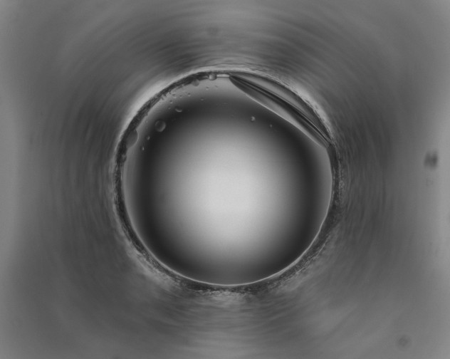 X0000091351085200708171426