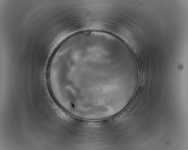 X0000091351086200708171426