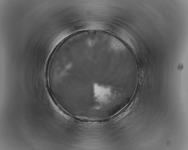 X0000091351087200708171426