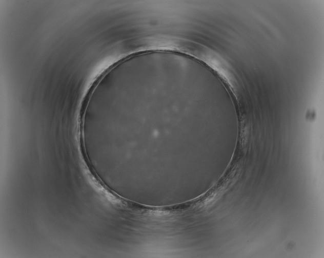 X0000091351088200708171426