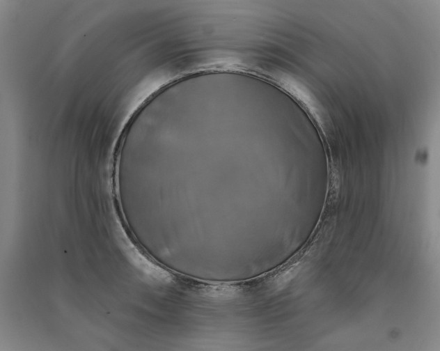 X0000091351090200708171426