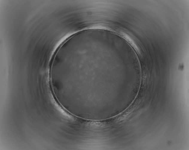 X0000091351092200708171426