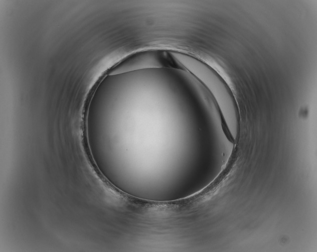 X0000091351093200708171426